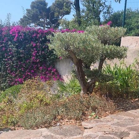 Villa Du Bau Rouge Carqueiranne Εξωτερικό φωτογραφία