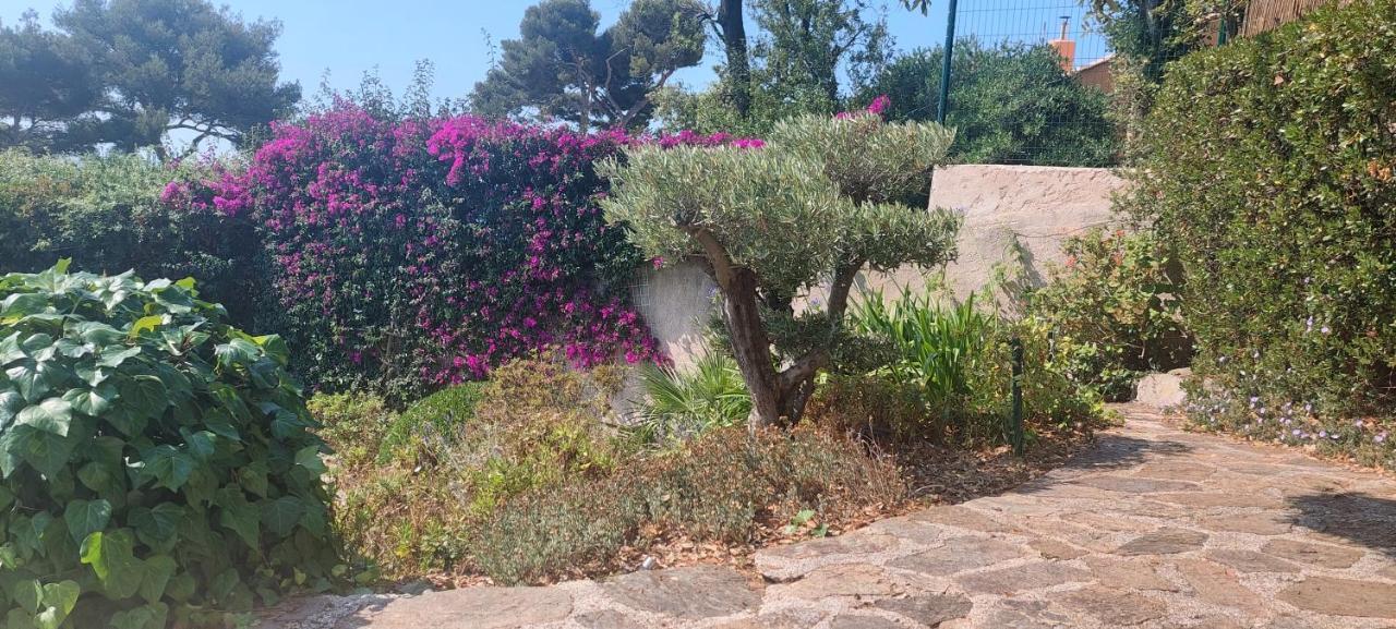 Villa Du Bau Rouge Carqueiranne Εξωτερικό φωτογραφία