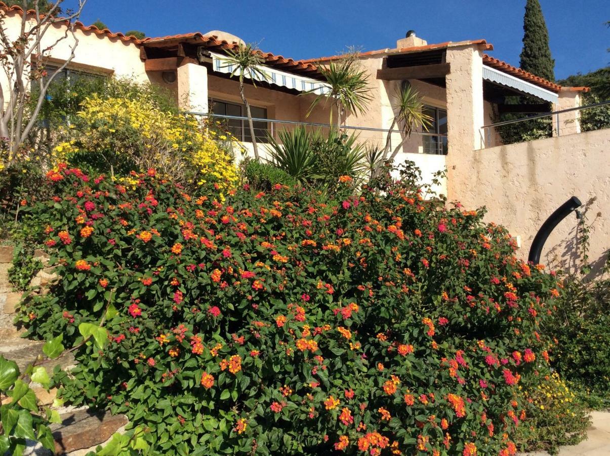 Villa Du Bau Rouge Carqueiranne Εξωτερικό φωτογραφία