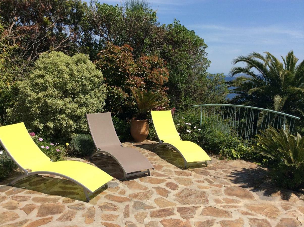 Villa Du Bau Rouge Carqueiranne Εξωτερικό φωτογραφία
